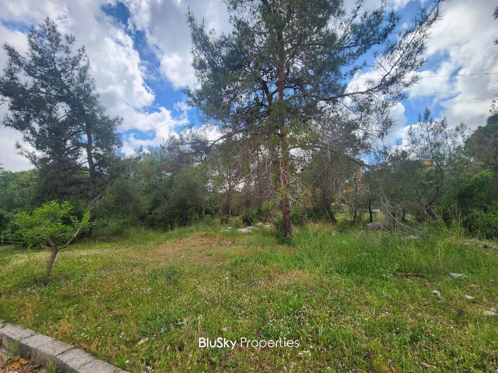  Land 1,380m² For SALE In Ouyoun Broumana #GS 